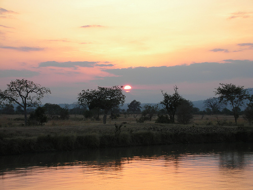 Mikumi National Park